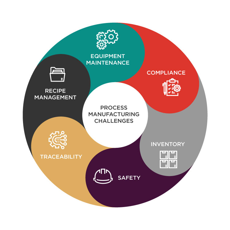 process manufacturing challenges erp consulting