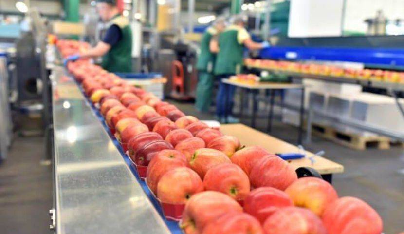 Where to Begin? 3 Approaches to Evaluate Food and Beverage ERP Systems 4 Where to Begin 3 Approaches to Evaluate Food and Beverage ERP Systems