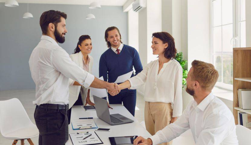How a Software Implementation Vendor Differs from an Independent Consultant