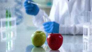 Red and green apple in a lab setting