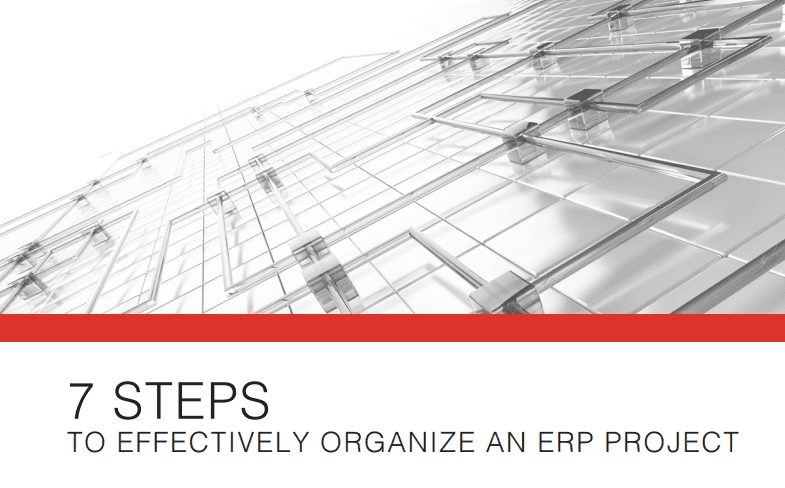 ERP Organization graphic