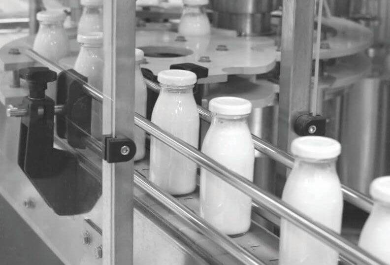 What Food and Beverage Processors Need to Know About Today’s ERP Milk being bottled on a conveyor belt