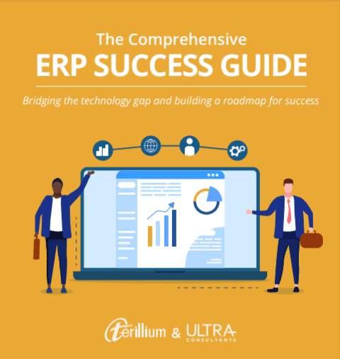 erp success guide software consultant