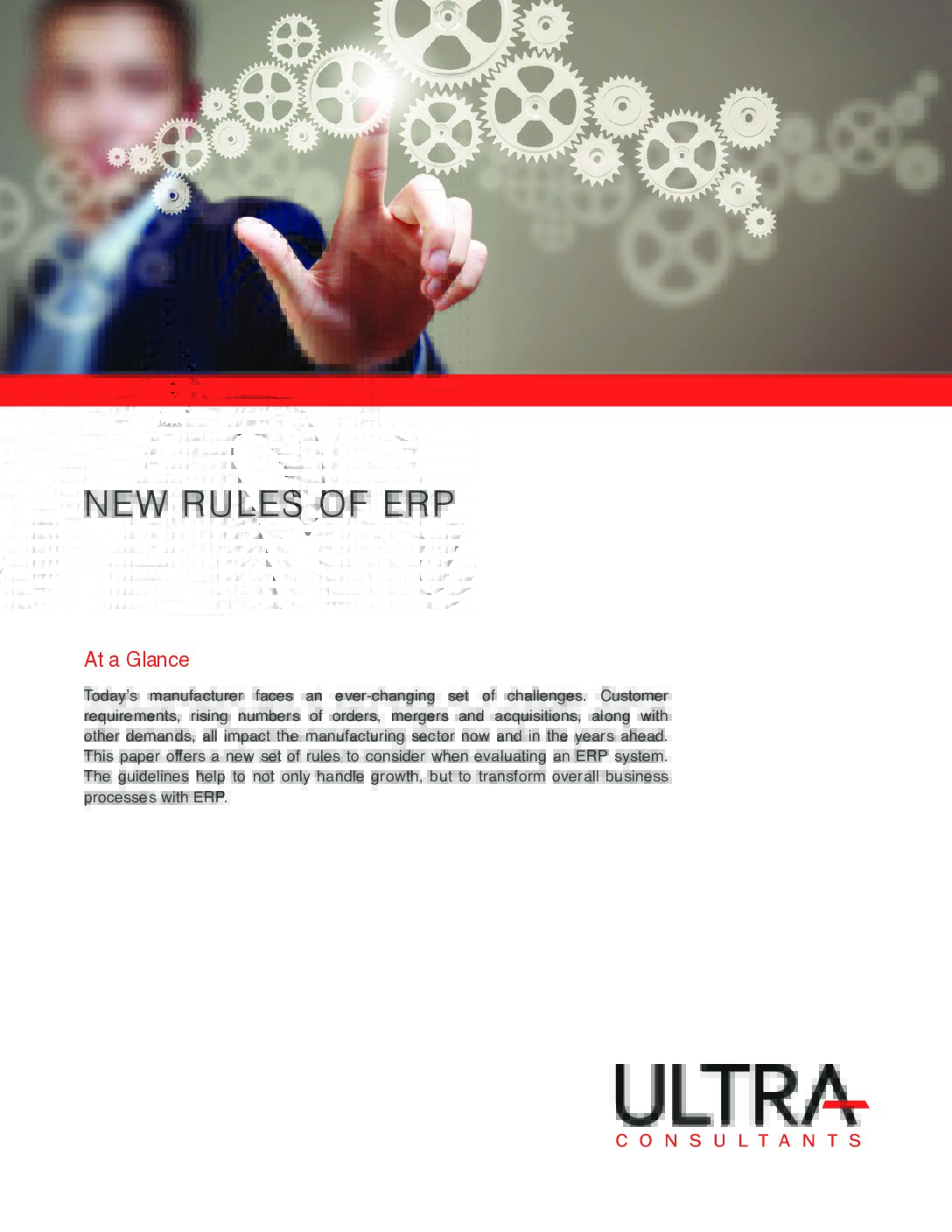 ERP consultants and what they do
