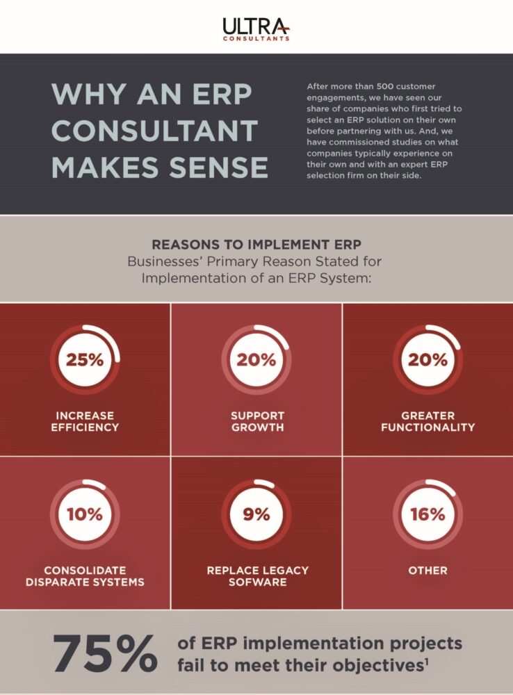 erp consultant makes sense infographic