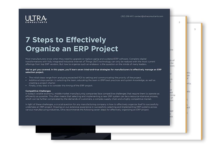 ebook erp consulting organize project software