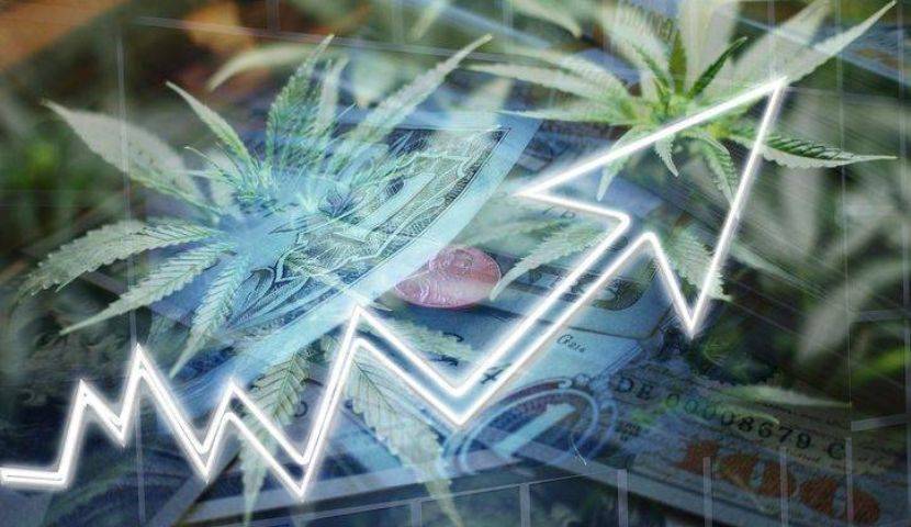 Tips for Implementing Lean Practices in Your Cannabis Grow 5 Tips for Implementing Lean Practices in Your Cannabis Grow