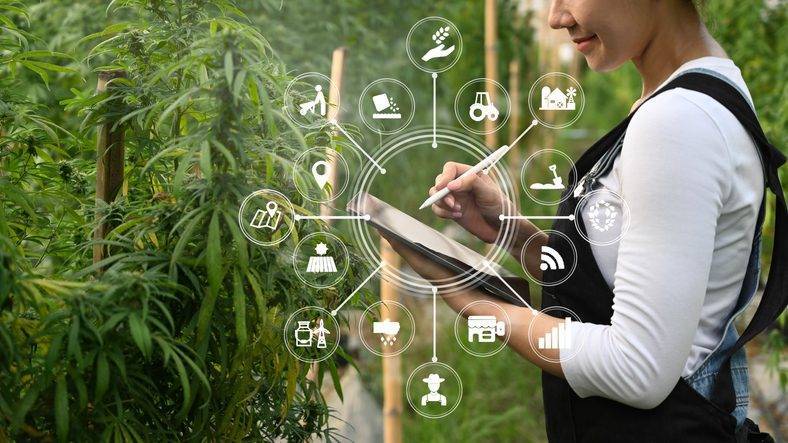 cannabis technology software