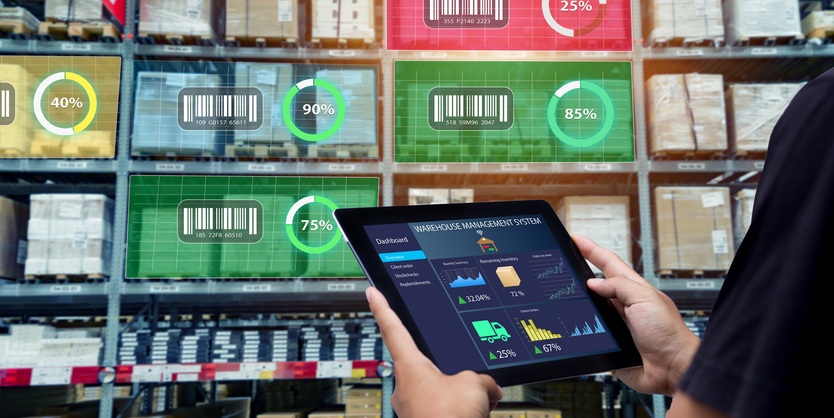warehouse digitalization cost consulting