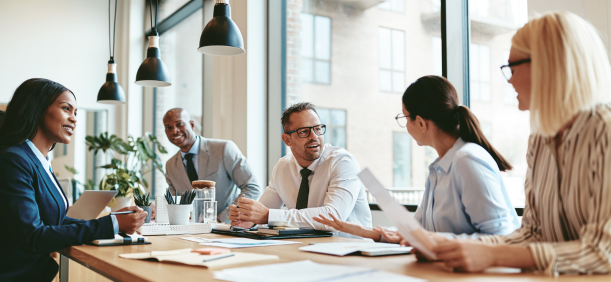 Ultra Consultants ERP Consulting Services