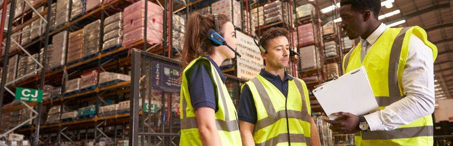 Distribution ERP
