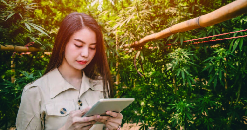 Why Automation Is Essential for Cannabis Production 4 What to Look for in Cannabis Software